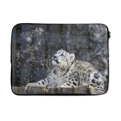 Produktbild von MuchoWow® Laptop Hülle 14 ZollSchneeleopard - Holz - Grau Laptoptasche - Laptoptasche - Stoßsicher - Schutzhaube