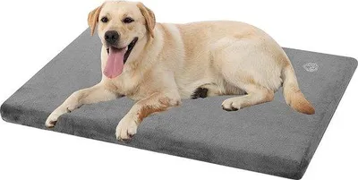 Immagine prodotto di Grande tappetino impermeabile per cani XL, grigio, 104x71x7,6 cm, sfoderabile