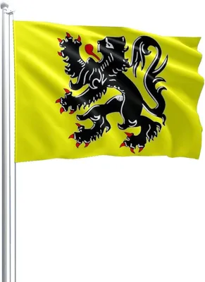 Imagen del producto de Bandera de Flandes, de poliéster, 90x150 cm, apta para interiores y exteriores