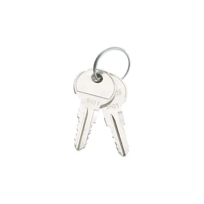 Immagine prodotto di Tritón RAX-MS-X10-X1 Chiave di ricambio Tritón RAX-MS-X10-X1 Solo chiave (senza serratura)