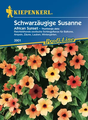 Produktbild von [STREICHUNG 2025] Schwarzäugige Susanne African Sunset | Schwarzäugige Susanne Samen von Kiepenkerl