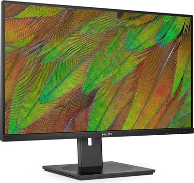 Produktbild von Philips 32B1N3800 - 3000 Series - LED-Monitor - 81.3 cm (32") (31.5" sichtbar) - 3840 x 2160 4K UHD (2160p) @ 60 Hz - VA - 350 cd/m² - 3500:1 - 4 ms - 2xHDMI, DisplayPort - Lautsprecher - Schwarz