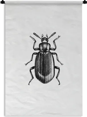 Produktbild von MuchoWow® Wandteppich Wandbehang Käfer - Tiere - Vintage 120x180 cm Tapisserie Dekoration Wandtuch - Schlafzimmer - Dekorationen für das Haus