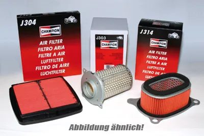 Immagine prodotto di Filtro aria Champion CAF6918 per BMW S1000R 2013-2015