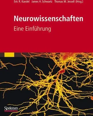 Image de Neurowissenschaften