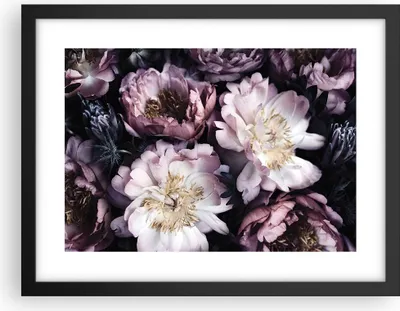 Produktbild von Gerahmtes Poster - Schwarzer Rahmen - Pfingstrosen Veilchen Blumen - 40x30 cm - Wand Bild - Wanddeko - Wandbilder - Kunstposter - Wandposter - Bilderrahmen - Bilder - Kunstdruck - P2BAA40x30-5076