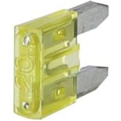 Image de ATM fusibles 20 A (50 pieces)