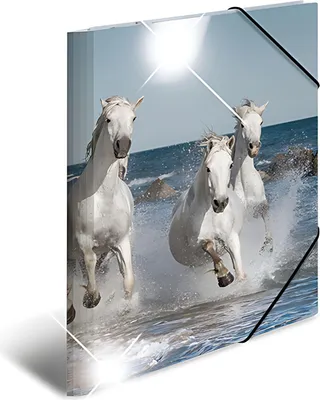 Image de Chemise HERMA A3 Glossy Horse Polypropylène