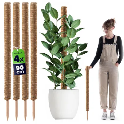 Zdjęcie produktu dla Kij do sadzenia z drewna kokosowego KADAX, 90 cm, podpórka do doniczki, 4 szt