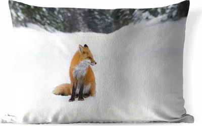 Produktbild von MuchoWow® Outdoor Kissen - Fuchs - Schnee - Winter - 60x40 cm - Wetterfest - Lounge Kissen - Zierkissen - Kissen für Innenräume