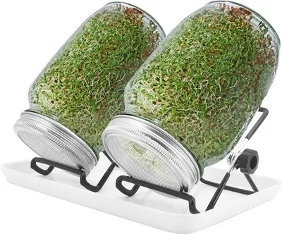 Produktbild von Kleinkammer-Set, Mini-Brutkasten, Pflanzbox