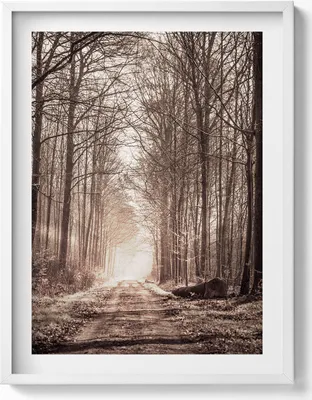 Produktbild von Waldweg in Sepia-Farben– Wandbild mit Rahmen – Gerahmtes Bild  – Wanddekoration – 60x80 cm –  Weiß Rahmen