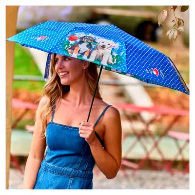 Produktbild von Kompakter Regenschirm für Damen - Manuell bedienbarer Taschenschirm für Frauen und Mädchen - Leichter Mini-Damenschirm, sturmfest - Durchmesser 97 cm