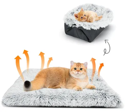 Image de Coussin pour chat 2 en 1, lavable et antidérapant, dimensions 60 cm x 50 cm, couleur grise