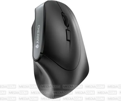 Zdjęcie produktu dla CHERRY MW 4500, Po prawej stronie, Projekt pionowy, Optyczny, RF Wireless, 1200 DPI, Czarny