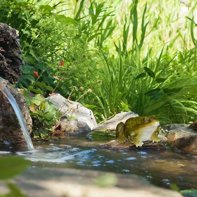 Produktbild von figura ogrodowa żaba sztuczny kamień relaxdays