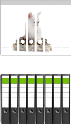 Produktbild von Wallario 8 Stück schmale Ordner inkl. Klebeetiketten mit Motive Katze auf Schildkröten -  Set mit Rückenschildern / Ordnerrücken Stickern