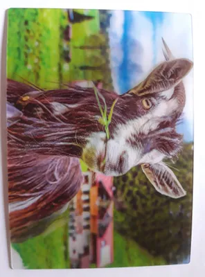 Produktbild von 3 D Ansichtskarte Ziege, Postkarte Wackelkarte Hologrammkarte Tiere Ziegen Bauernhoftier