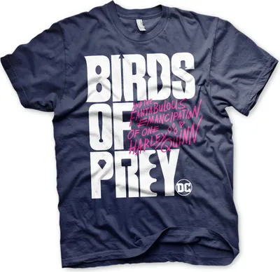 Produktbild von Birds Of Prey Logo T-Shirt - Small - Navy