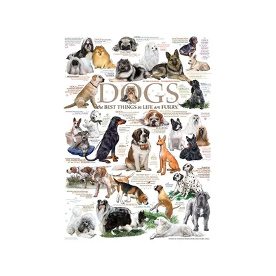 Zdjęcie produktu dla COBBLE HILL Puzzle Dog Reports 1000 elementów
