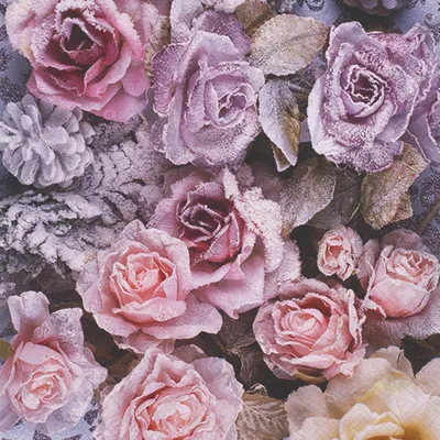 Produktbild von 20 Servietten Winter Roses - Rosen im Frost 33x33cm