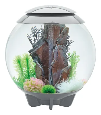 Produktbild von OASE 72043 biOrb HALO 60 LED grau