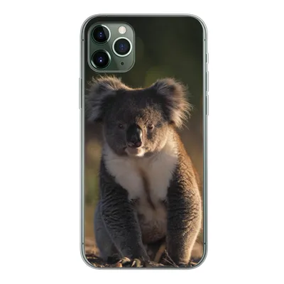 Produktbild von MuchoWow® Handyhülle Schutzhülle Hülle für iPhone 11 Pro Max Koala - Sonne - Tier - Kinder - Jungen - Mädchen Silikon Softcase Handy Hülle - Schutz