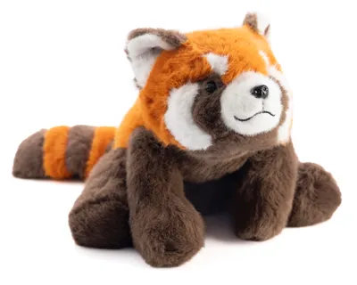 Image de Petit panda roux, peluche mascotte pour enfants – 30 cm