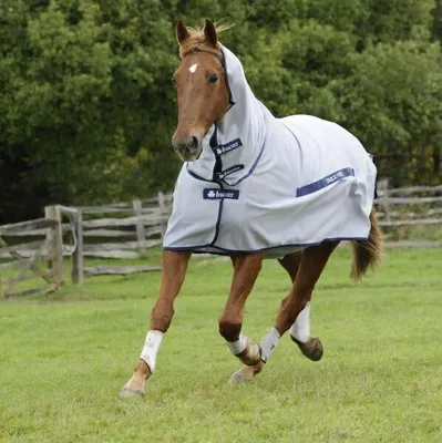 Produktbild von Bucas Fliegendecke Buzz-Off Full Neck Decke Blue 90