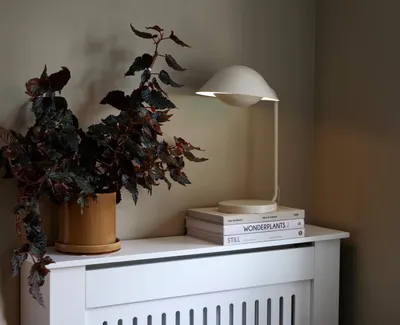 Produktbild von Tischleuchte Nordlux Freya Beige Tischlampe
