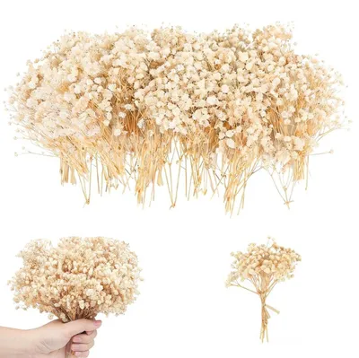 Getrocknete Blumen, 50 Stück, weiß, 8-10 cm, für Basteln & Deko
