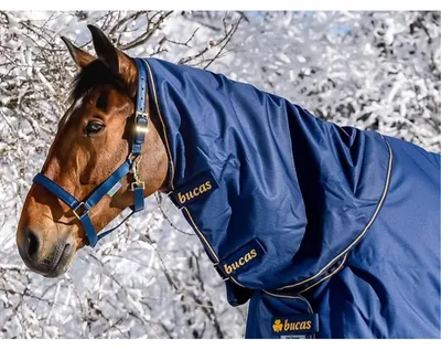 Immagine prodotto di Bucas Irish Turnout Combi Neck 0g - blu/oro - Parte del collo