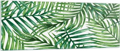 Produktbild von Bilder auf glas - Palme Blatt grün - 140x50cm - Glasbilder - Wandbilder - Kunstdruck - zum Aufhängen bereit - Wanddekoration aus Glas - Glas Bilder - Wandbild auf Glas - Einteilig - GAB140x50-3777
