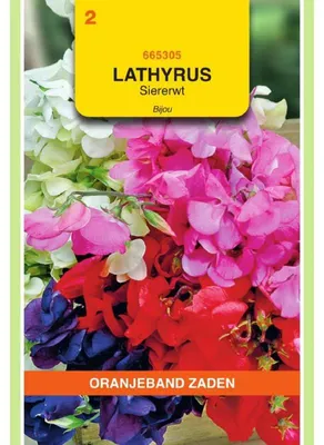 Productafbeelding van Oranjekleurige Lathyrus odoratus (geurige tuinertje) 'Bijou', dwergvariëteit, mengsel - 1 zakje zaden