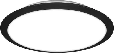 Produktbild von CTS LED Deckenleuchte, schwarz, IP44, 1xLED/21W