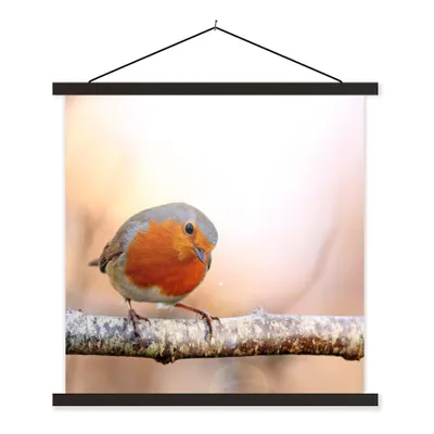 Produktbild von MuchoWow® Textilposter Rotkehlchen - Ast - Baum 90x90 cm mit schwarzem Rahmen - Magnetisches