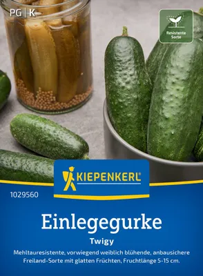 Produktbild von Kiepenkerl Einlegegurkensamen Twigy F1 Cucumis sativus 30 Pflanzen