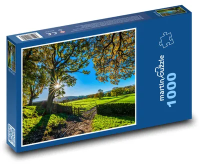 Obrázok produktu pre Puzzle 1000 Slnečný jeseň v Yorkshire - martinpuzzle