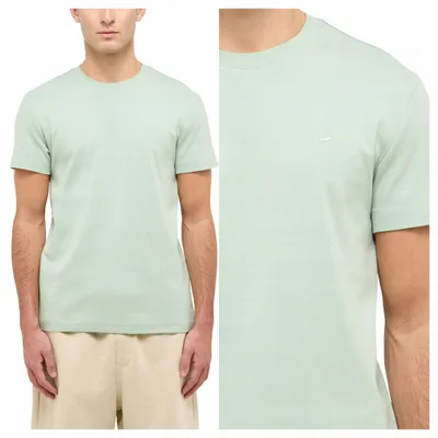 Produktbild von Mustang | Allen Herren-T-Shirt Grün Frosty Green Classic XXL