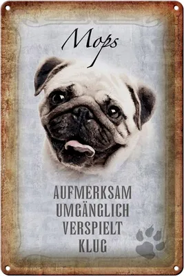 Produktbild von Blechschild Spruch 20x30cm Mops Hund Schild