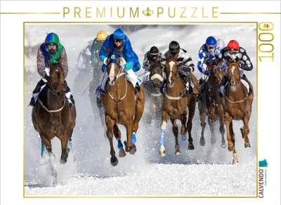 Produktbild von CALVENDO Puzzle Endspurt | 1000 Teile Lege-Größe 64x48cm Foto-Puzzle für glückliche Stunden