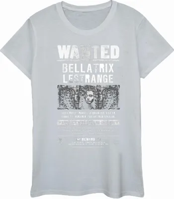 Produktbild von Harry Potter - T-Shirt für Damen BI1745 (M) (Grau)