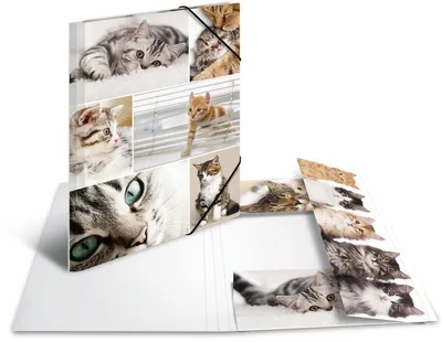 Produktbild von Sammelmappe A4 Pappe Katzen Packung mit 3 Stück