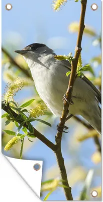 Produktbild von MuchoWow® 80x160 cm Outdoor-Poster Gartendeko Sichtschutz Garten Poster für den Garten  Vogel im Baum