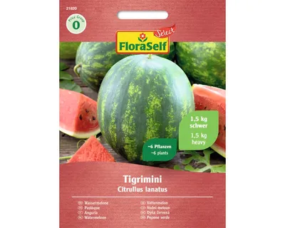 Obrázek produktu pro Meloun vodní Tigrimini F1 FloraSelf Select
