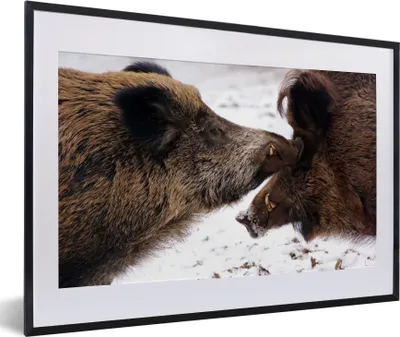 Produktbild von MuchoWow® MuchoWow® Gerahmtes Poster Wildschwein - Tier - Schnee 60x40 cm - Poster mit zchwarzem Bilderrahmen - Schlafzimmer - Plakat in Rahmen - Drucken