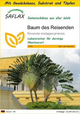 Produktbild von SAFLAX Anzucht Set - Baum des Reisenden - Ravenala madagascariensis - 8 Samen - Mit Mini-Gewächshaus, Anzuchtsubstrat und 2 Töpfen