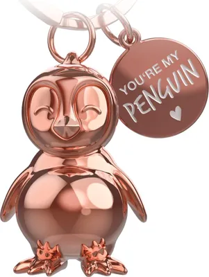 Produktbild von FABACH Pinguin Schlüsselanhänger Frosty - Pinguin Glücksbringer Geschenke Freundin oder Freund - Partner Geschenk Liebe Schlüsselanhänger zu Geburtstag, Jahrestag - Gravur You're My Penguin