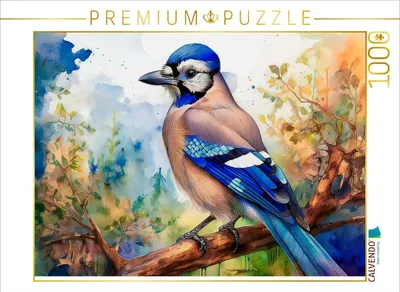 Produktbild von CALVENDO Puzzle Eichelhäher | 1000 Teile Lege-Größe 64x48cm Foto-Puzzle für glückliche Stunden