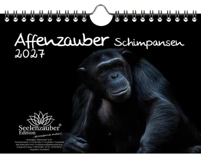 Produktbild von Schimpansenzauber DIN A5 Kalender für 2027 Affen - Seelenzauber